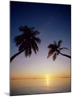 Palm Trees and Tropical Beach, Maldive Islands, Indian Ocean-Steve Vidler-Mounted Photographic Print