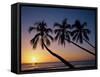 Palm Trees and Tropical Beach, Maldive Islands, Indian Ocean-Steve Vidler-Framed Stretched Canvas