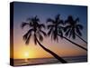 Palm Trees and Tropical Beach, Maldive Islands, Indian Ocean-Steve Vidler-Stretched Canvas