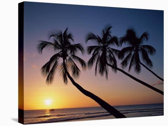 Palm Trees and Tropical Beach, Maldive Islands, Indian Ocean-Steve Vidler-Stretched Canvas