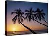 Palm Trees and Tropical Beach, Maldive Islands, Indian Ocean-Steve Vidler-Stretched Canvas