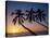 Palm Trees and Tropical Beach, Maldive Islands, Indian Ocean-Steve Vidler-Stretched Canvas