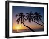 Palm Trees and Tropical Beach, Maldive Islands, Indian Ocean-Steve Vidler-Framed Photographic Print