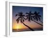 Palm Trees and Tropical Beach, Maldive Islands, Indian Ocean-Steve Vidler-Framed Photographic Print