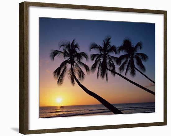 Palm Trees and Tropical Beach, Maldive Islands, Indian Ocean-Steve Vidler-Framed Photographic Print