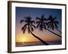 Palm Trees and Tropical Beach, Maldive Islands, Indian Ocean-Steve Vidler-Framed Photographic Print