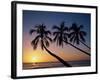 Palm Trees and Tropical Beach, Maldive Islands, Indian Ocean-Steve Vidler-Framed Photographic Print