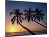 Palm Trees and Tropical Beach, Maldive Islands, Indian Ocean-Steve Vidler-Mounted Photographic Print