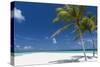 Palm Trees and Tropical Beach, Maldives, Indian Ocean, Asia-Sakis Papadopoulos-Stretched Canvas