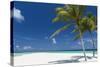 Palm Trees and Tropical Beach, Maldives, Indian Ocean, Asia-Sakis Papadopoulos-Stretched Canvas
