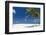 Palm Trees and Tropical Beach, Maldives, Indian Ocean, Asia-Sakis Papadopoulos-Framed Photographic Print