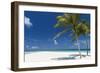 Palm Trees and Tropical Beach, Maldives, Indian Ocean, Asia-Sakis Papadopoulos-Framed Photographic Print