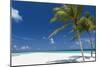 Palm Trees and Tropical Beach, Maldives, Indian Ocean, Asia-Sakis Papadopoulos-Mounted Photographic Print