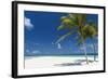 Palm Trees and Tropical Beach, Maldives, Indian Ocean, Asia-Sakis Papadopoulos-Framed Photographic Print