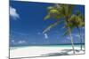 Palm Trees and Tropical Beach, Maldives, Indian Ocean, Asia-Sakis Papadopoulos-Mounted Photographic Print