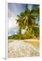 Palm Trees and Tropical Beach, Southern Mahe, Seychelles-Jon Arnold-Framed Photographic Print