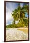 Palm Trees and Tropical Beach, Southern Mahe, Seychelles-Jon Arnold-Framed Photographic Print