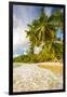 Palm Trees and Tropical Beach, Southern Mahe, Seychelles-Jon Arnold-Framed Photographic Print