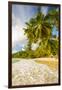 Palm Trees and Tropical Beach, Southern Mahe, Seychelles-Jon Arnold-Framed Premium Photographic Print