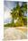 Palm Trees and Tropical Beach, Southern Mahe, Seychelles-Jon Arnold-Mounted Premium Photographic Print