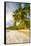 Palm Trees and Tropical Beach, Southern Mahe, Seychelles-Jon Arnold-Framed Stretched Canvas