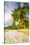 Palm Trees and Tropical Beach, Southern Mahe, Seychelles-Jon Arnold-Stretched Canvas