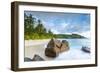 Palm Trees and Tropical Beach, Southern Mahe, Seychelles-Jon Arnold-Framed Photographic Print