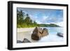 Palm Trees and Tropical Beach, Southern Mahe, Seychelles-Jon Arnold-Framed Photographic Print