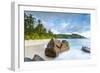 Palm Trees and Tropical Beach, Southern Mahe, Seychelles-Jon Arnold-Framed Photographic Print