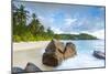 Palm Trees and Tropical Beach, Southern Mahe, Seychelles-Jon Arnold-Mounted Photographic Print