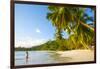 Palm Trees and Tropical Beach, Southern Mahe, Seychelles-Jon Arnold-Framed Photographic Print