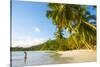 Palm Trees and Tropical Beach, Southern Mahe, Seychelles-Jon Arnold-Stretched Canvas