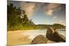 Palm Trees and Tropical Beach, Southern Mahe, Seychelles-Jon Arnold-Mounted Photographic Print