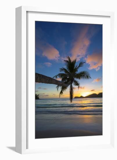 Palm Trees and Tropical Beach, Southern Mahe, Seychelles-Jon Arnold-Framed Photographic Print