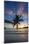 Palm Trees and Tropical Beach, Southern Mahe, Seychelles-Jon Arnold-Mounted Photographic Print