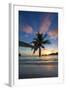 Palm Trees and Tropical Beach, Southern Mahe, Seychelles-Jon Arnold-Framed Photographic Print