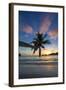 Palm Trees and Tropical Beach, Southern Mahe, Seychelles-Jon Arnold-Framed Photographic Print