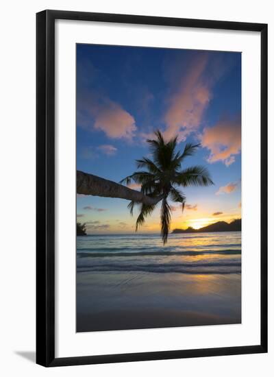 Palm Trees and Tropical Beach, Southern Mahe, Seychelles-Jon Arnold-Framed Photographic Print