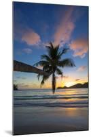 Palm Trees and Tropical Beach, Southern Mahe, Seychelles-Jon Arnold-Mounted Photographic Print