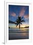 Palm Trees and Tropical Beach, Southern Mahe, Seychelles-Jon Arnold-Framed Photographic Print