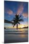 Palm Trees and Tropical Beach, Southern Mahe, Seychelles-Jon Arnold-Mounted Photographic Print