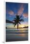 Palm Trees and Tropical Beach, Southern Mahe, Seychelles-Jon Arnold-Framed Photographic Print