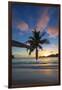 Palm Trees and Tropical Beach, Southern Mahe, Seychelles-Jon Arnold-Framed Photographic Print