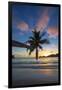 Palm Trees and Tropical Beach, Southern Mahe, Seychelles-Jon Arnold-Framed Photographic Print