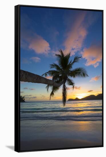 Palm Trees and Tropical Beach, Southern Mahe, Seychelles-Jon Arnold-Framed Stretched Canvas