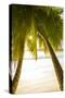 Palm Trees and Tropical Beach, Southern Mahe, Seychelles-Jon Arnold-Stretched Canvas