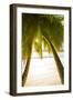 Palm Trees and Tropical Beach, Southern Mahe, Seychelles-Jon Arnold-Framed Photographic Print