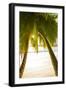 Palm Trees and Tropical Beach, Southern Mahe, Seychelles-Jon Arnold-Framed Photographic Print