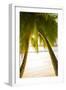 Palm Trees and Tropical Beach, Southern Mahe, Seychelles-Jon Arnold-Framed Photographic Print