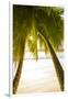 Palm Trees and Tropical Beach, Southern Mahe, Seychelles-Jon Arnold-Framed Photographic Print